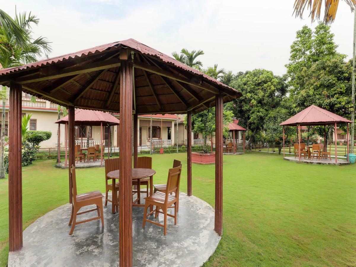 Hotel Wildlife Camp Sauraha Eksteriør billede